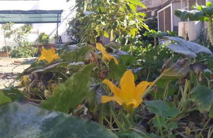 Edara Home - Vivienda completa - Photo 31