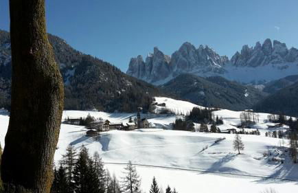 Jaiterhof - Photo 57