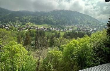 Résidence Les Voroches - Foto 19