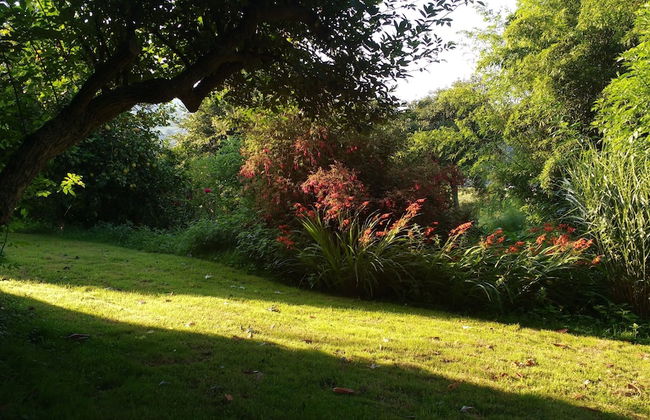 Apartamentos La Collada - Photo 46