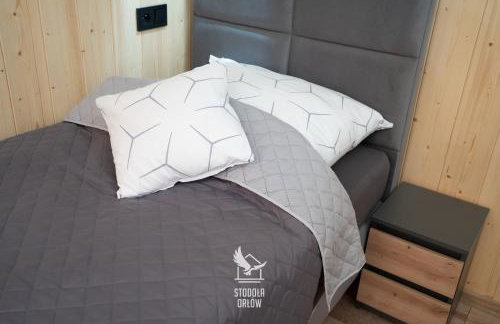 Stodoła Orłów - Domek z Jacuzzi na wyłączność - Foto 41