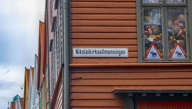 Punti salienti di Bergen - Tour privato a piedi - Foto 5