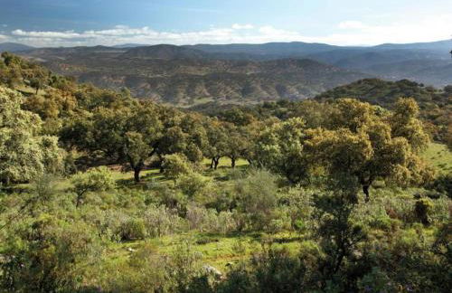 El Águila, Stone Cottage - Foto 24