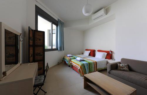 Gorgeous Eco Friendly Seaside Villa Nefeli - Foto 6