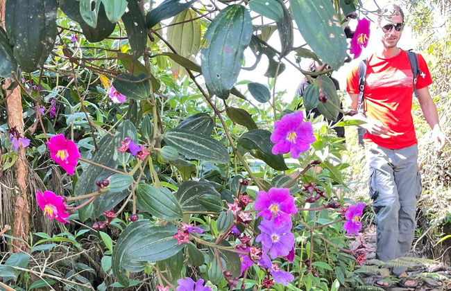 Excursão às veredas La Herrera e Serranías - Foto 2