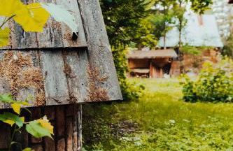 Dom Królowy Most 67 - Foto 20