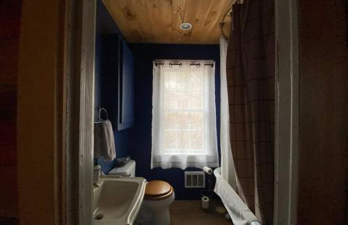 Mountain Farmhouse (The Lorca, Catskills) - Foto 22