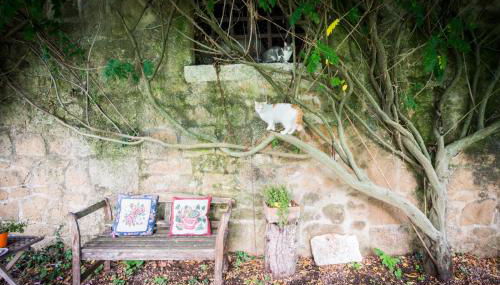 Borgo Rinascimento - Foto 4