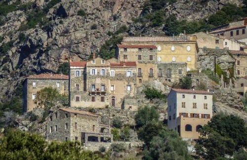 Campu Latinu - Foto 57