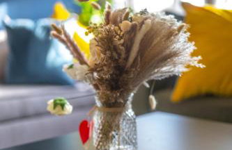 Camps Rigg Place - Foto 19