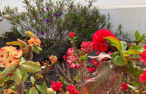 "Our Soleada" Villa cosy and flowery, heated pool - Foto 39