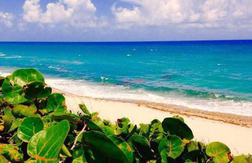 Sabal Palm Vacation Homes - Foto 22