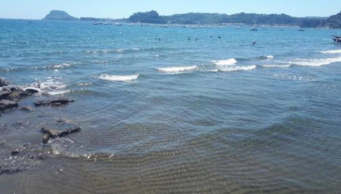 Casa Isabea - Foto 5