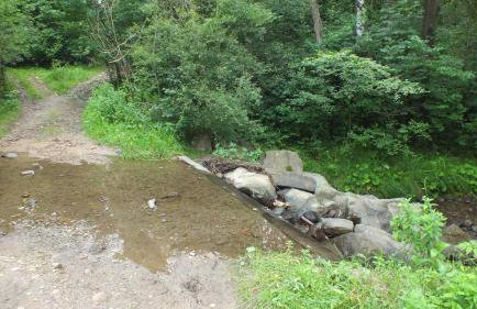 Leśny Domek - Foto 73