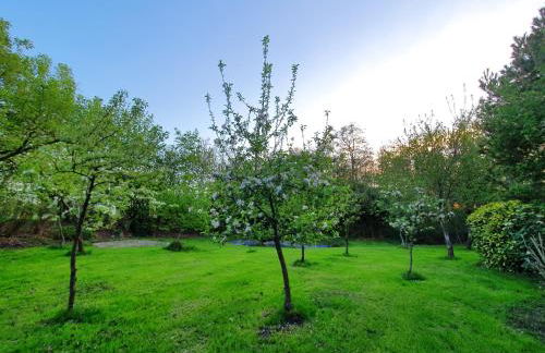 Dat moi lüttje Ostfreesen Landhuus - Foto 8