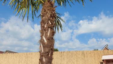 Ferienwohnung Uhlenbusch Paradise - Foto 3