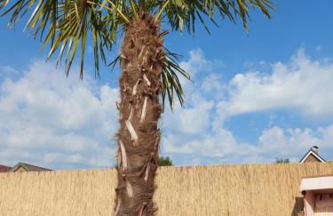 Ferienwohnung Uhlenbusch Paradise - Foto 3