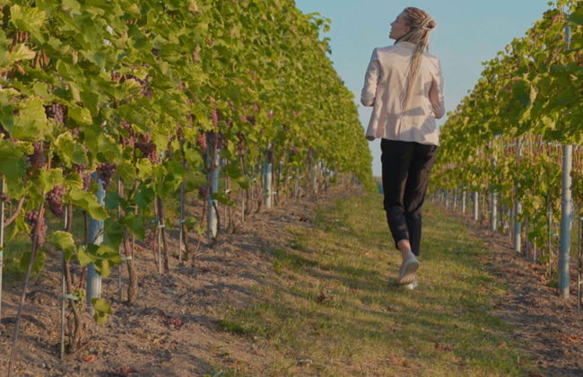 Visite des caves à vin de Buezo - Photo 1