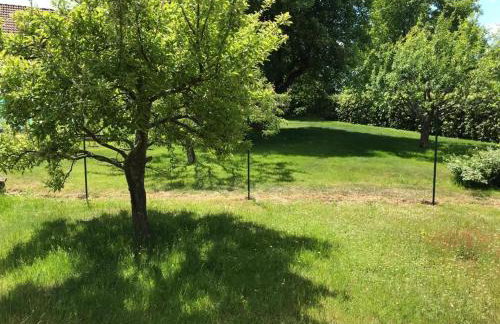 Fewo Rotensol - Bad Herrenalb - Foto 12
