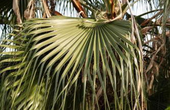 Exclusive Villa City, Beach & Golf - Photo 60