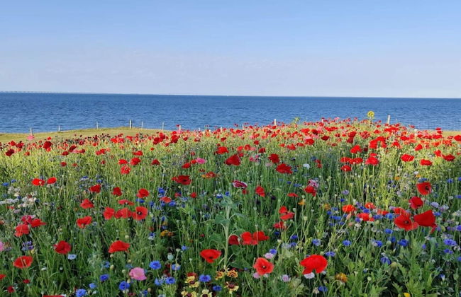 4 Person Holiday Home in Frorup - Photo 42