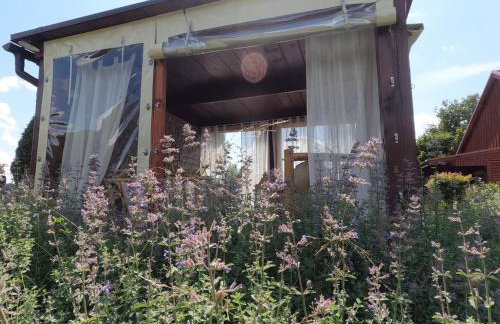 Liwa Garden Krzywa 11 - Foto 63