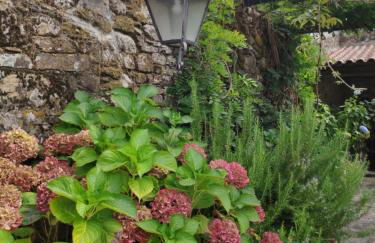 Solar de Maceira - Foto 11