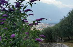 Apartment Weiss Home - Foto 43