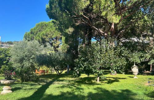 Oasis de verdure en centre-ville - jacuzzi privé - Foto 23