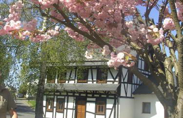 Ferienhaus Schmitt - Foto 1