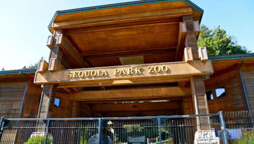 Private Home - #RedwoodSkyWalkRetreat - 5BD, Pro Pool Table, BBQ, Foosball, Darts, Fireplace, Movie Projector, Stereo, Cotton Bedding - Foto 3