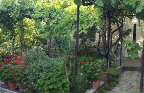 Beekeeper's house - Foto 19