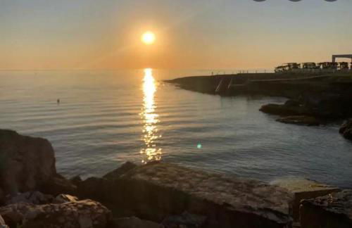 Stella Bianca - Foto 43