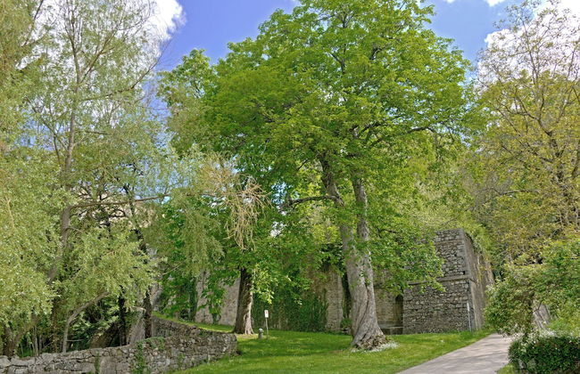 Casa di Giulio - Foto 24