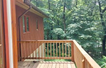 Forest View - Foto 16