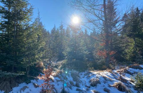 Appartement am See - Foto 31