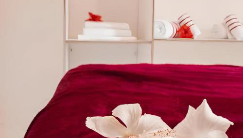 pousada primavera - Foto 4