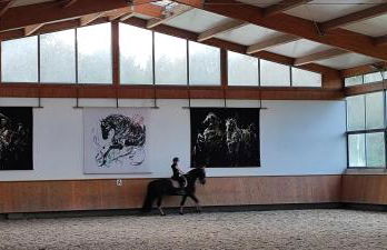 Domaine équestre de la Chênaie - Foto 40