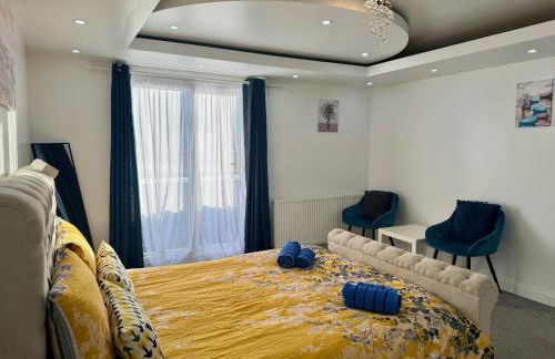 Modern Elegant Home - Photo 13