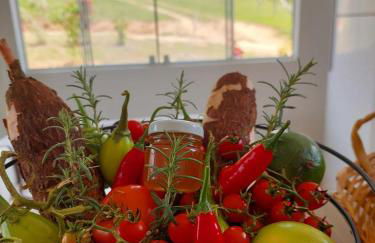 Loft com piscina natural em Cachoeiras de Macacu - Foto 12