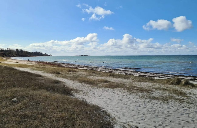 6 Person Holiday Home in Jaegerspris - Foto 42