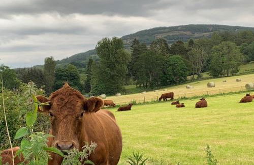 Lademill Cottage - Foto 35