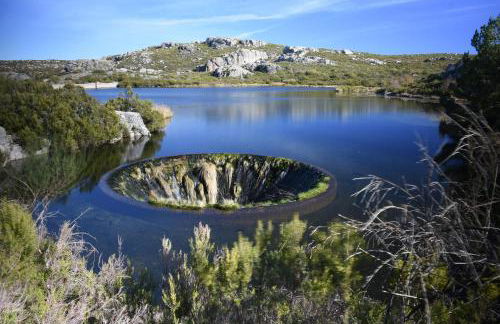 Dona Irene AL - Foto 19