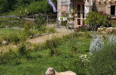 Au chant des oiseaux - rouge gorge - Foto 28