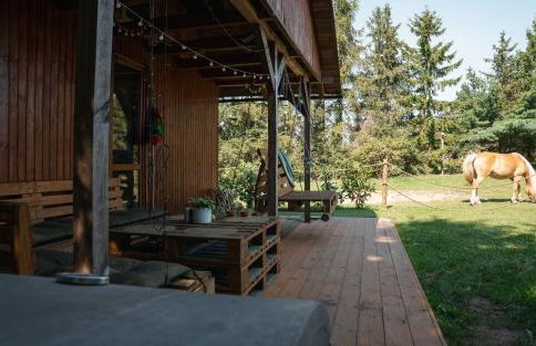 Domki Na Ranczo - Foto 9