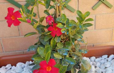 acasadimamma - Foto 27