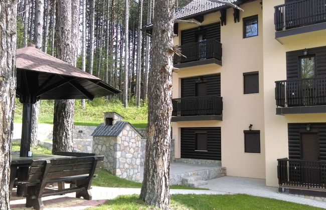 Apartment Bubica Zlatibor Best for Family Holidays and Couples in Love - Foto 24