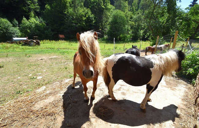 Wohnung mit Eigener Terrasse in Huddinge - Foto 16