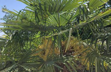Le jardin suspendu - Foto 22