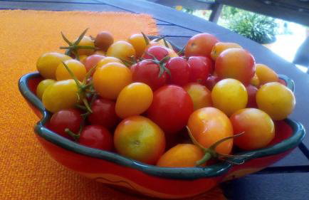 Aqua Blue villa - Foto 31